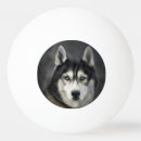 Search for big ping pong balls Animal