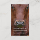 Search for steer business cards Livestock