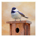 Recherche de oiseaux posters Peinture