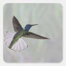 Search for necked stickers Wildlife