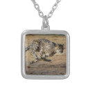 Search for mammal necklaces wildlife