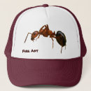 Recherche de fourmis casquettes Insecte
