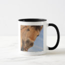 Search for viewpoints mugs Animal