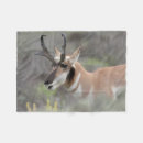 Search for grand teton blankets Danita delimont