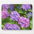 Search for blue hydrangeas mousepads Purple