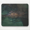 Recherche de crocodile tapis souris Sauvage