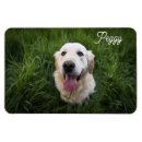 Search for add your image magnets Pet