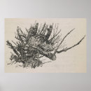 Search for arthur rackham posters Childrens books