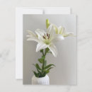 Recherche de lys cartes postales Peinture