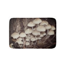 Recherche de tige photographie Forêt