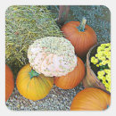 Search for hay bale stickers Pumpkins