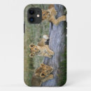 Search for lion cub iphone cases Baby