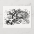 Search for alice wonderland cheshire cat postcards John tenniel