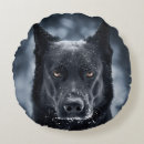 Search for german shepherd pillows Animals