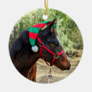 Recherche de cheval arabe ornements Vacances