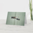 Search for lockness cards Photography