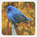 Search for autumn bird stickers Wildlife
