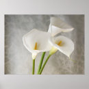 Search for large birthday posters White
