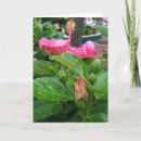 Recherche de camouflé cartes postales Nature