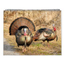 Search for turkey calendars Wildlife