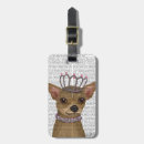 Recherche de chihuahua Antique