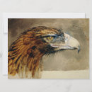Search for golden eagle cards Falcon