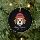 Search for funny animal ornaments Cute animals