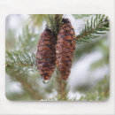 Search for pine needle electronics Winter