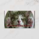 Search for kitties business cards Pets
