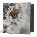 Search for cones binders Pinecone