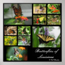 Recherche de habitats posters Écologie