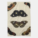 Recherche de insectes cuisine linges Papillon