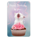Recherche de chats de chant magnets Chaton