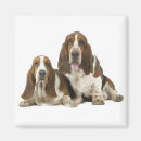 Recherche de domestiqué magnets Chiens