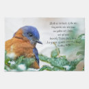 Recherche de ornithologie cuisine linges Observation des oiseaux