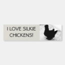 Search for love chickens bumper stickers Hens