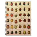 Search for ladybird notebooks Ladybug