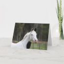 Search for warmblood cards Animal
