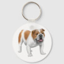 Search for english bulldog keychains Pug