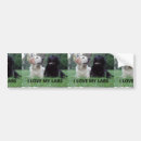 Recherche de photo chien voiture autocollants Dog