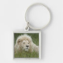 Search for panthera keychains Big cat