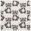 Search for raccoon fabric Cute