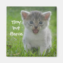 Search for tiny small magnets Cute