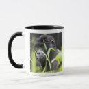 Search for national forest mugs Wildlife