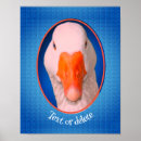 Search for farm posters Animal