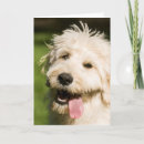 Search for dog panting cards Animal