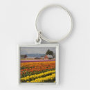 Search for jamie keychains Nobody