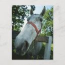 Recherche de agriculture cartes postales Faune