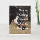 Search for horses anniversary cards Funny