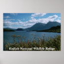 Recherche de kodiak National